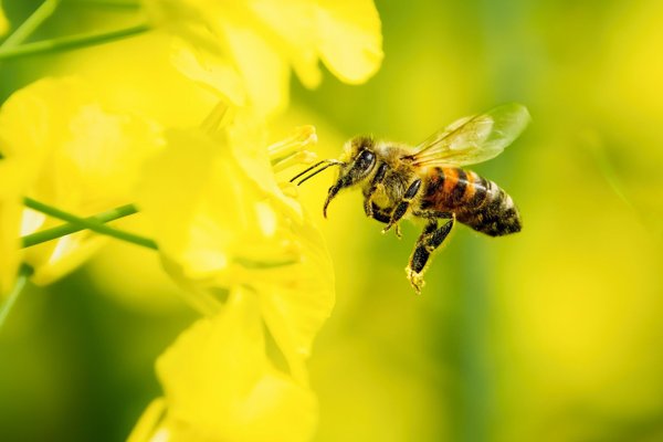Soigner efficacement sa santé : conseils pratiques pour tous